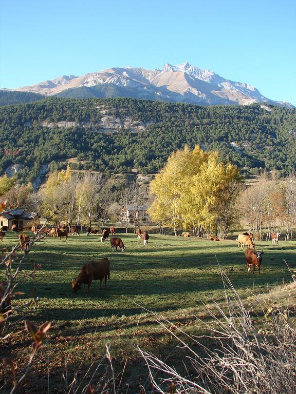 Location Vanoise 布拉芒 外观 照片
